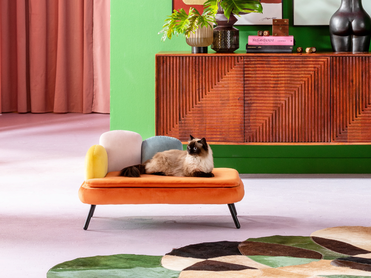 </strong>CAT INSPIRATION<strong>.