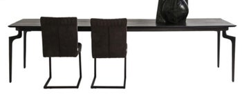 Tisch Bug 300x110cm – Grafik-1.