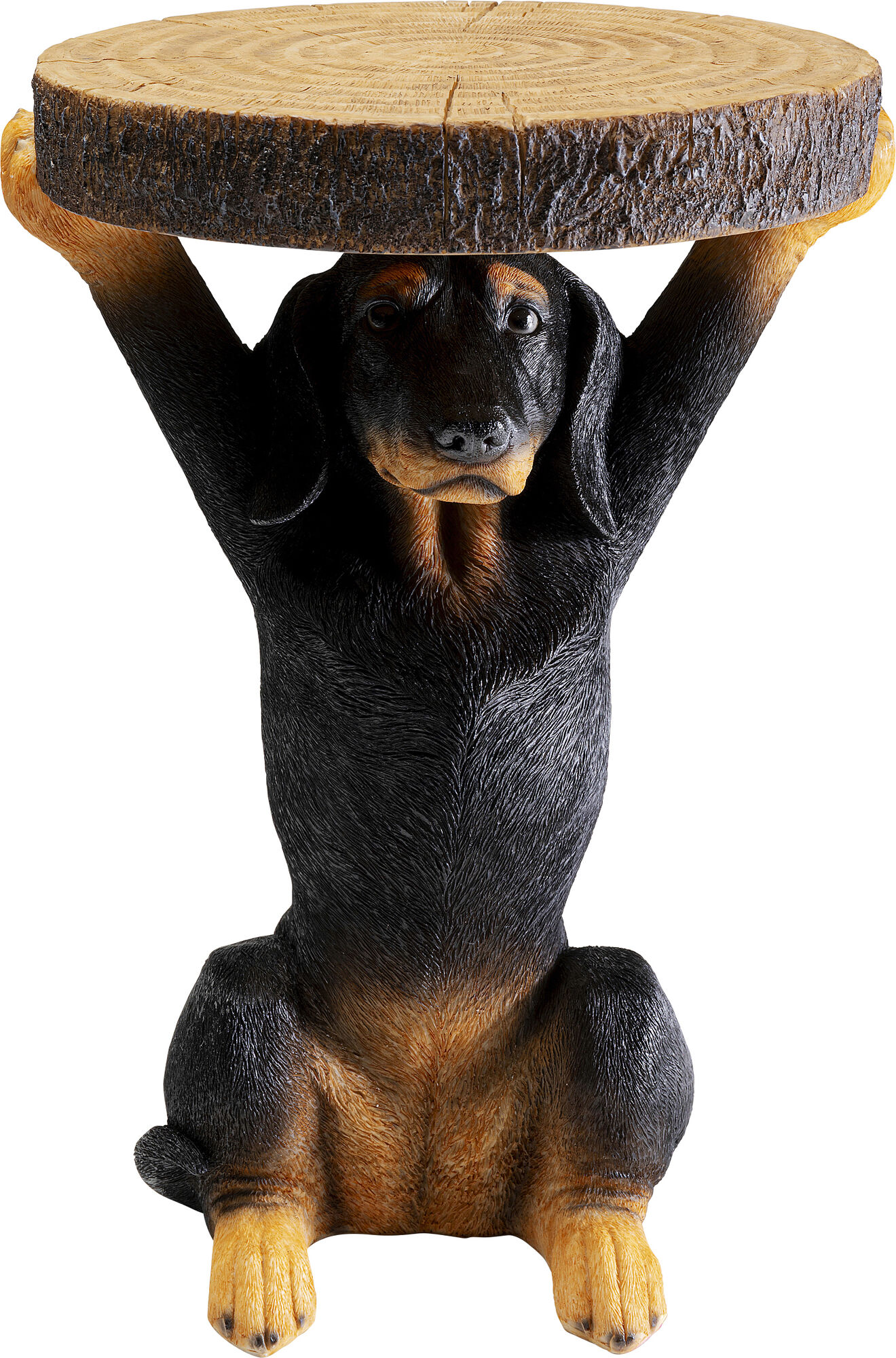 Beistelltisch Animal Bassotto Ø32cm – Grafik-1.