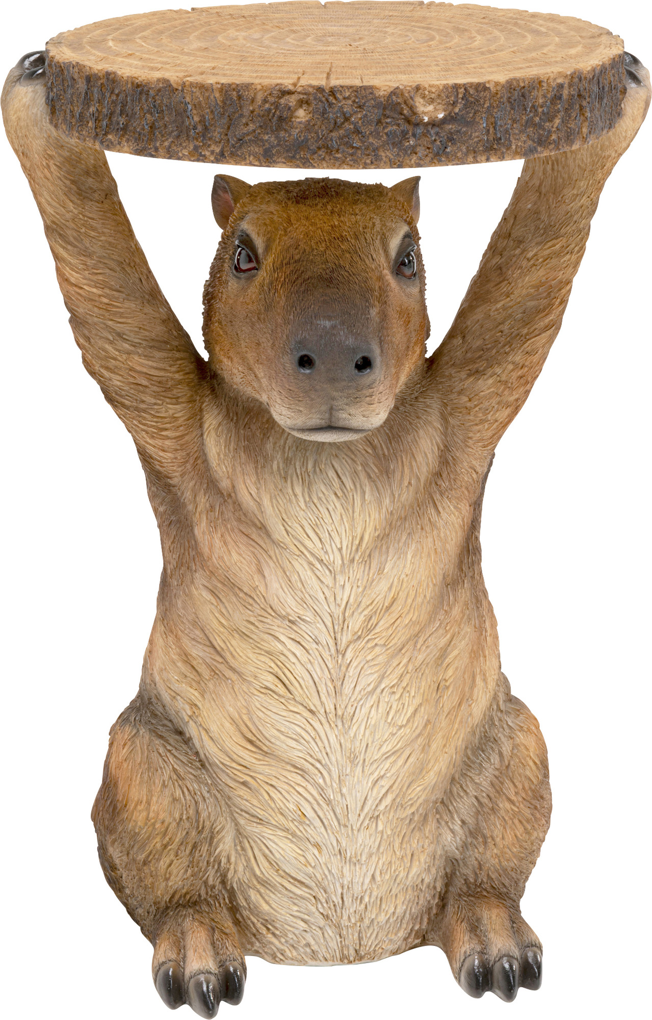 Beistelltisch Animal Capybara Ø34cm