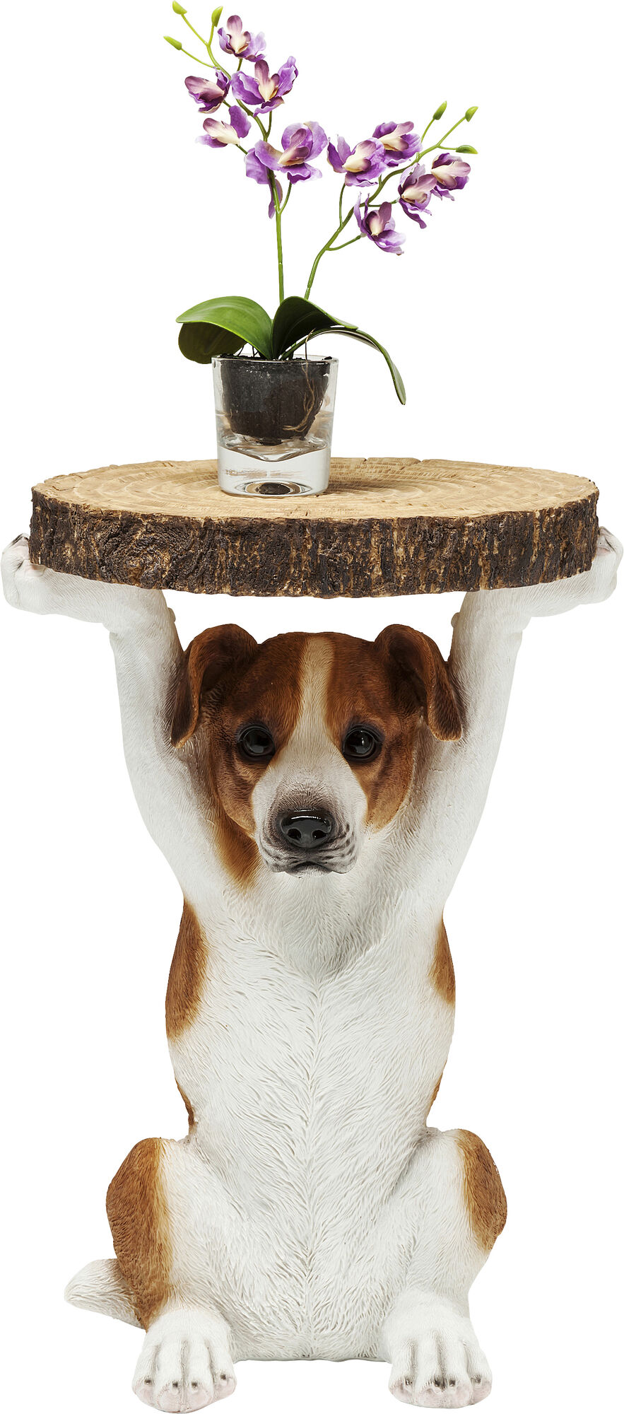 Beistelltisch Animal Mr Jack Ø33cm – Grafik-1.