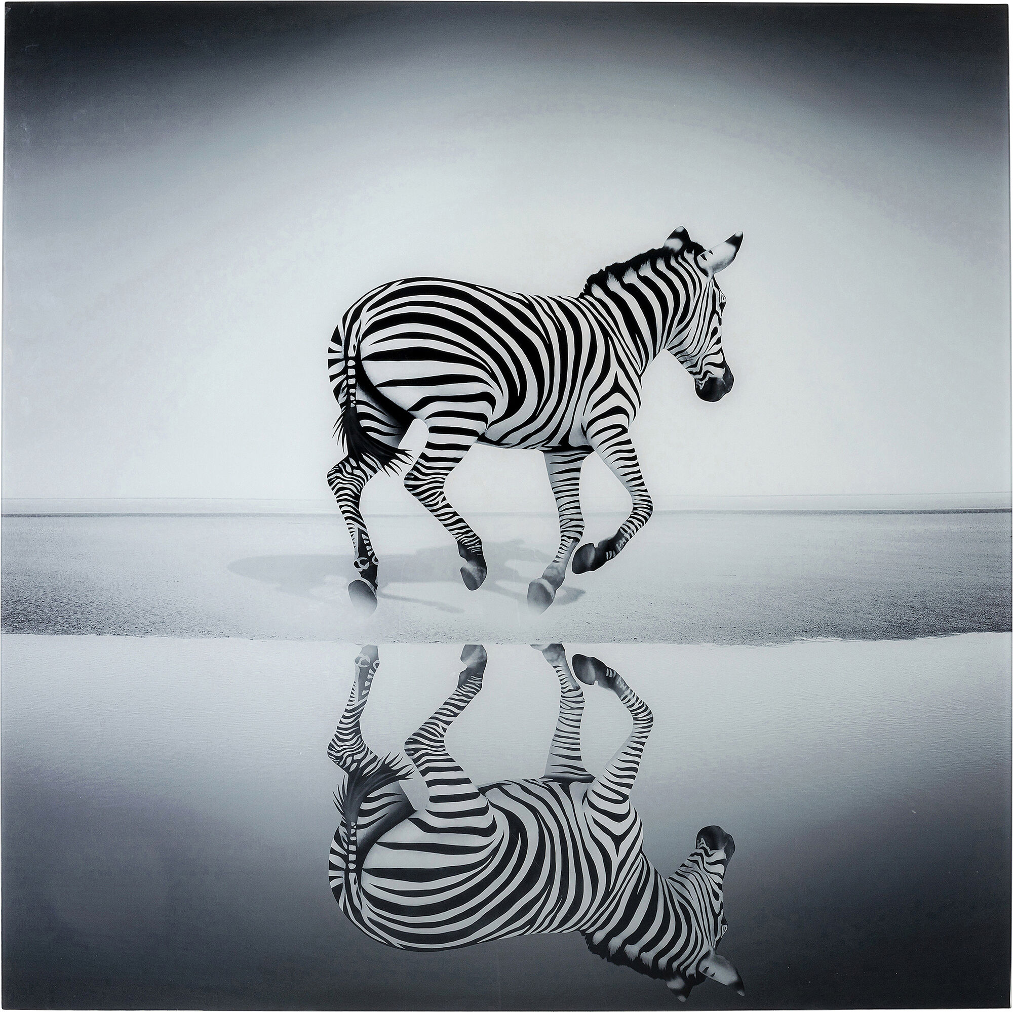 Bild Glas Savanne Zebra 120x120 - KARE Online GmbH