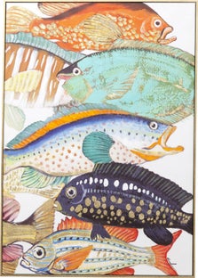 Bild Touched Fish Meeting Two 75x100cm – Grafik-1.
