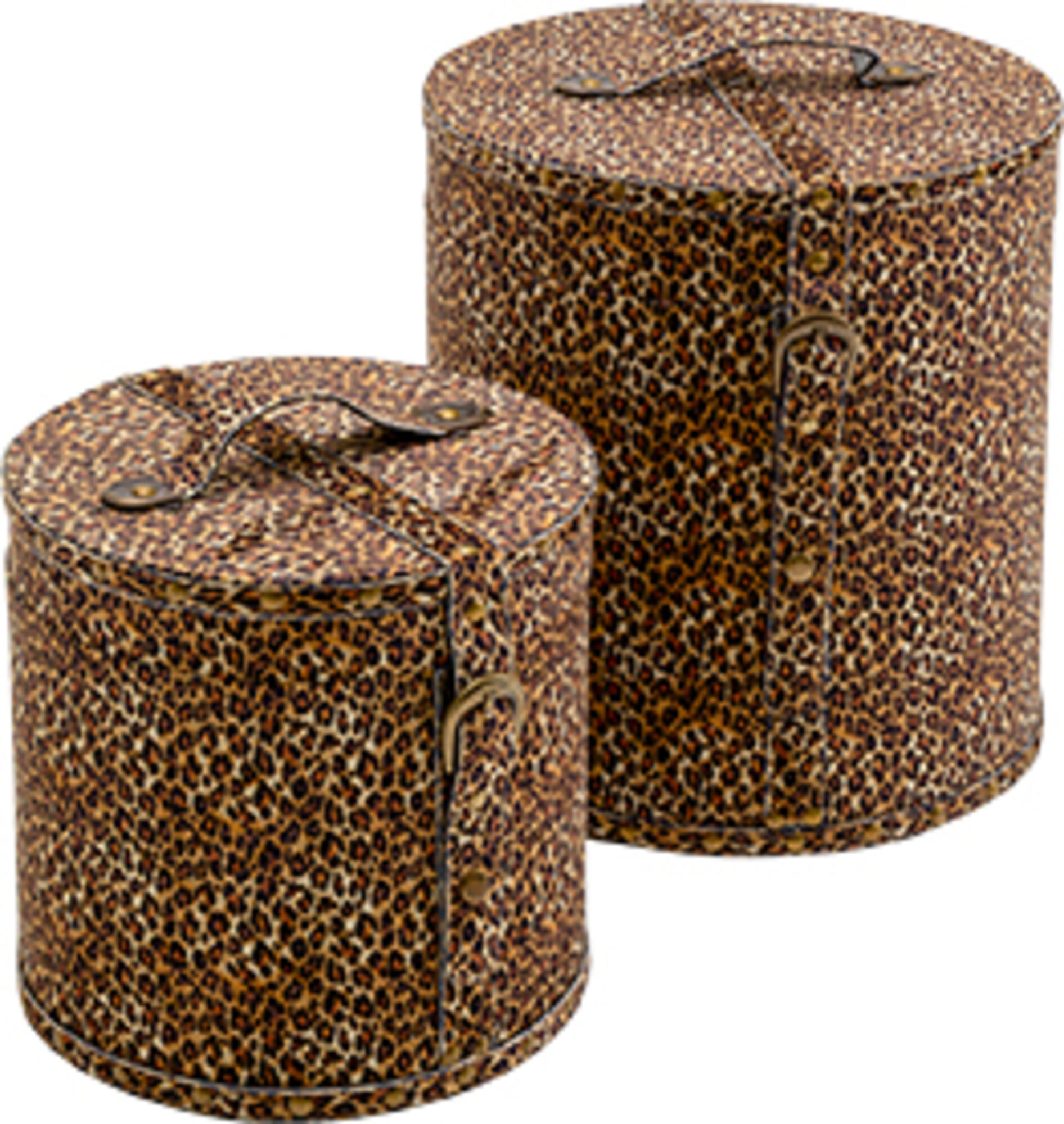 Box Wild Animal Leo (2/Set) – Grafik-1.