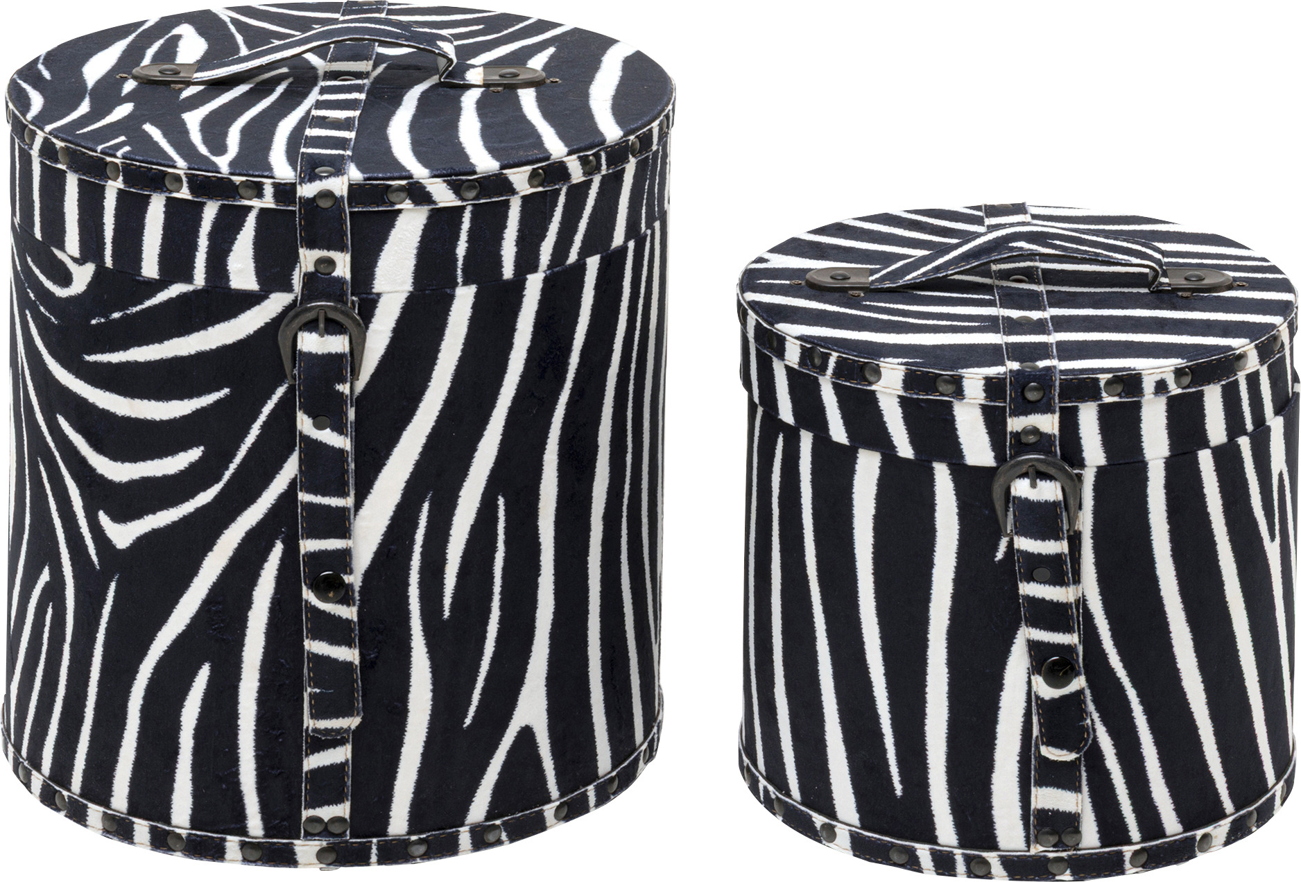 Box Wild Animal Zebra (2/Set)