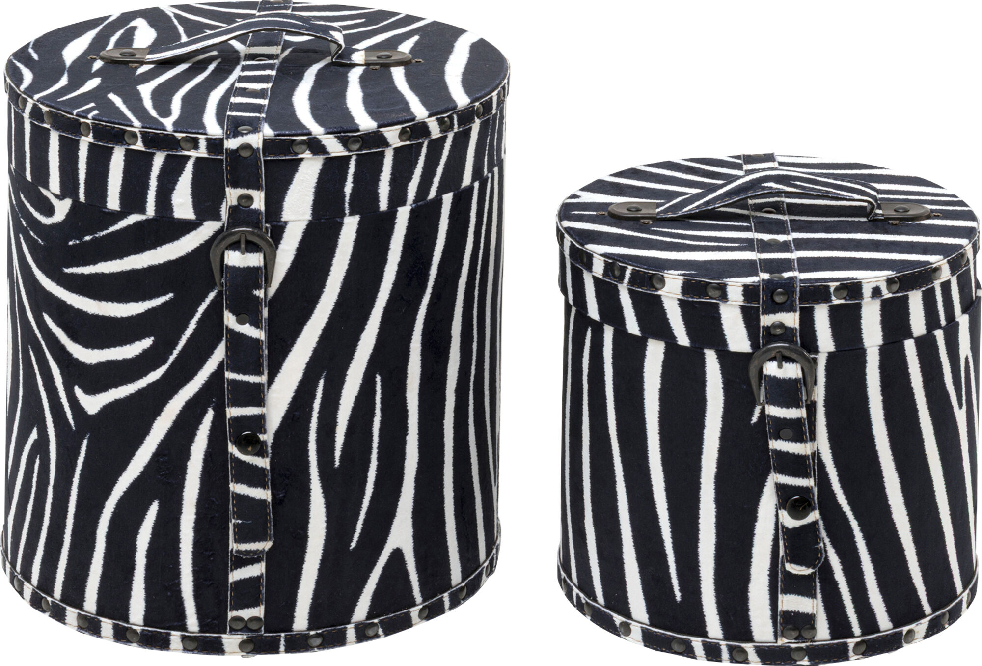 Box Wild Animal Zebra (2/Set) – Grafik-1.