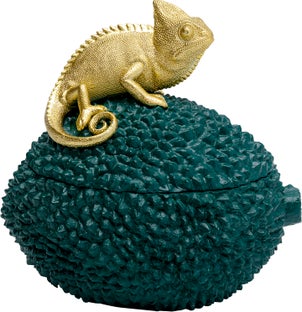 Deko Dose Chameleon 20 – Grafik-1.