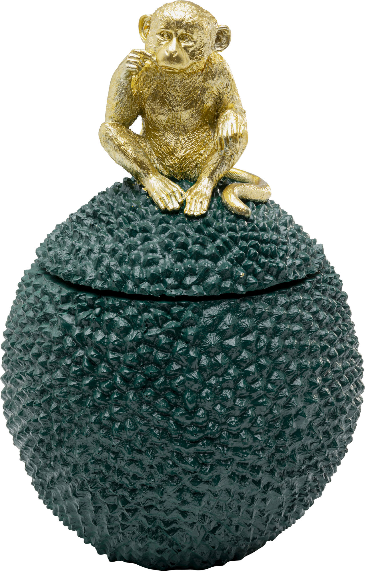 jackfruit aus der dose zubereiten