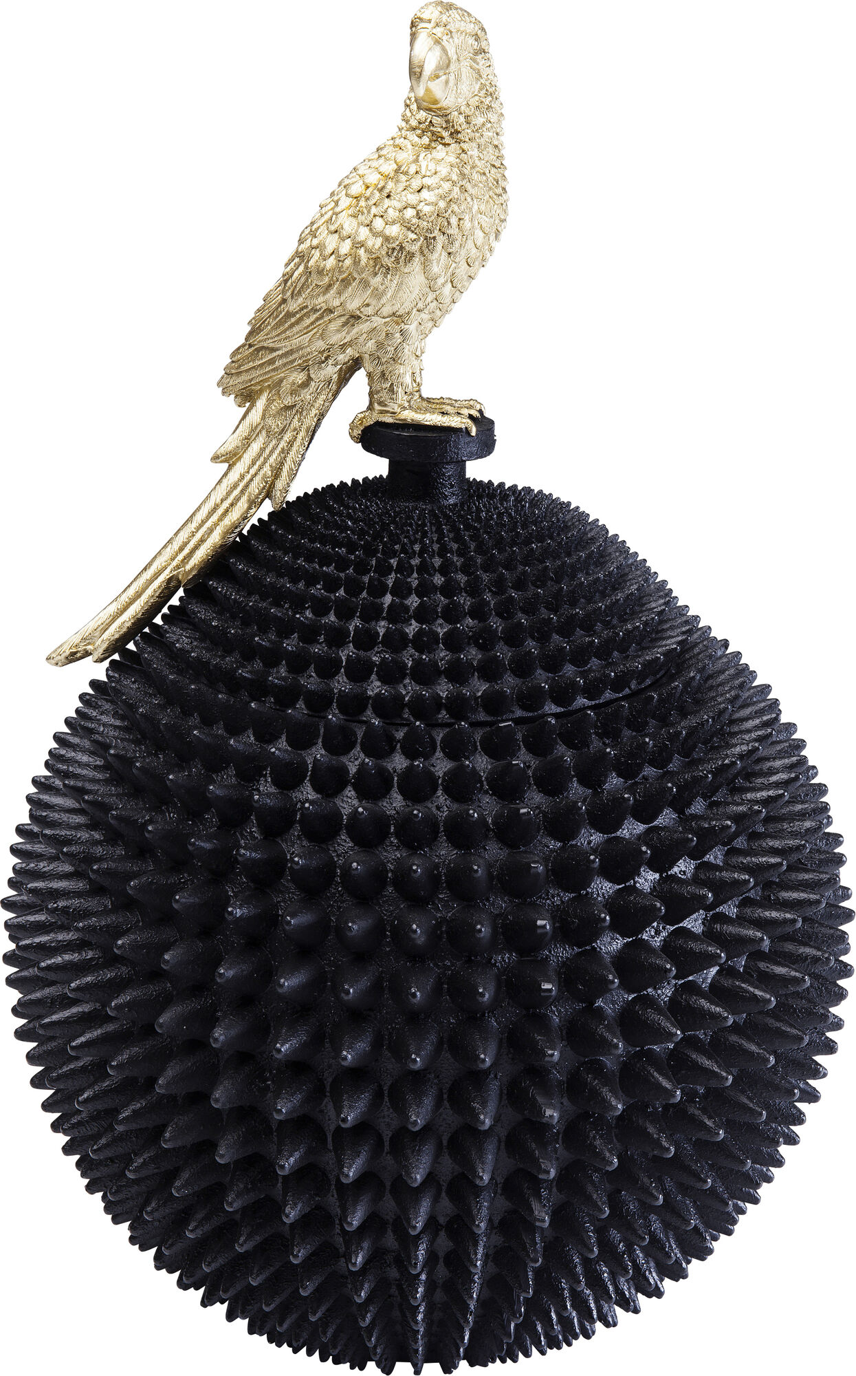 Deko Dose Parrot 40cm – Grafik-1.