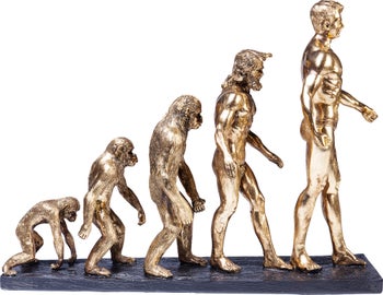 Deko Figur Evolution – Grafik-1.