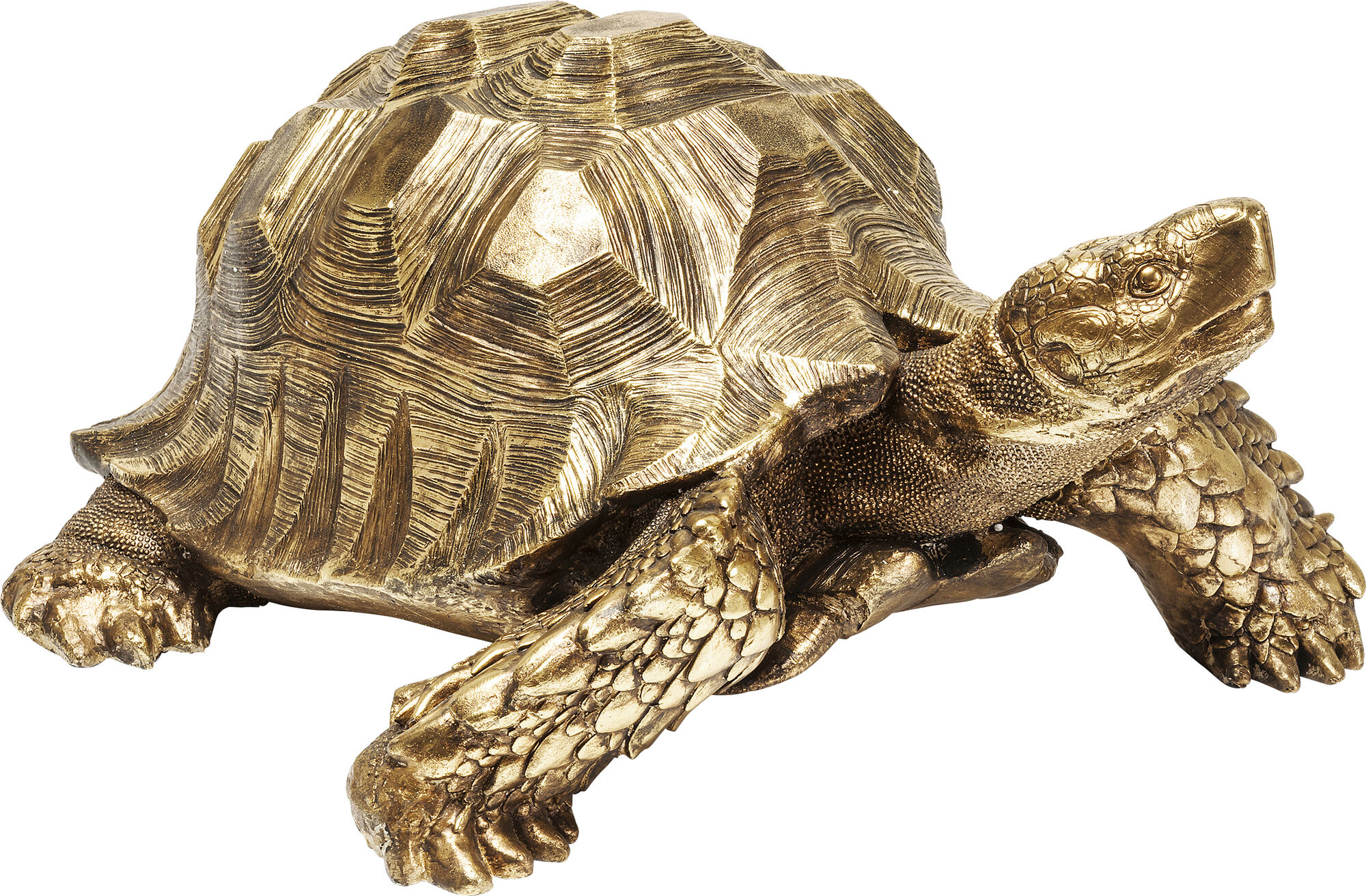 Deko Figur Turtle Gold Groß – Grafik-1.