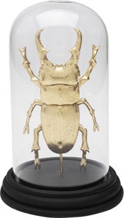 Deko Objekt Bell Jar Hercules Beetle 20cm – Grafik-1.
