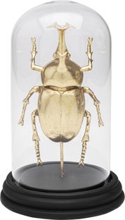 Deko Objekt Bell Jar Stag Beetle 20cm – Grafik-1.