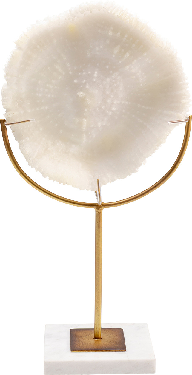 Deko Objekt Coral 39cm