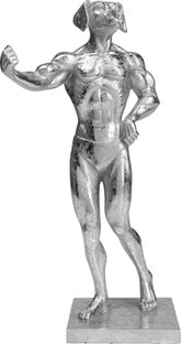 Deko Objekt Muscle Dog Silber – Grafik-1.