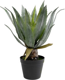 Deko Pflanze Agave 40cm – Grafik-1.