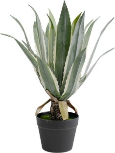 Deko Pflanze Agave 50cm – Grafik-1.