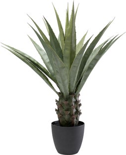 Deko Pflanze Agave 85cm – Grafik-1.
