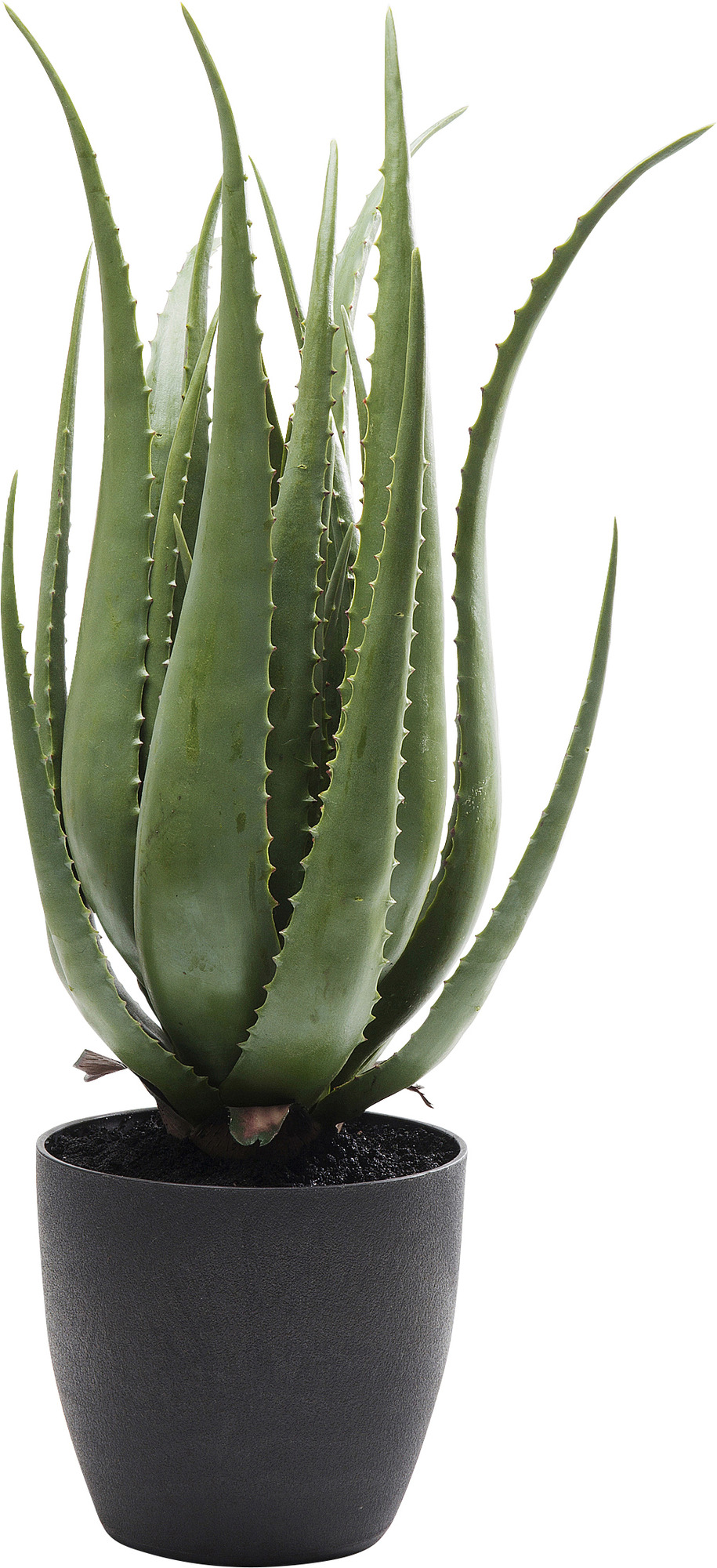 Deko Pflanze Aloe 69cm