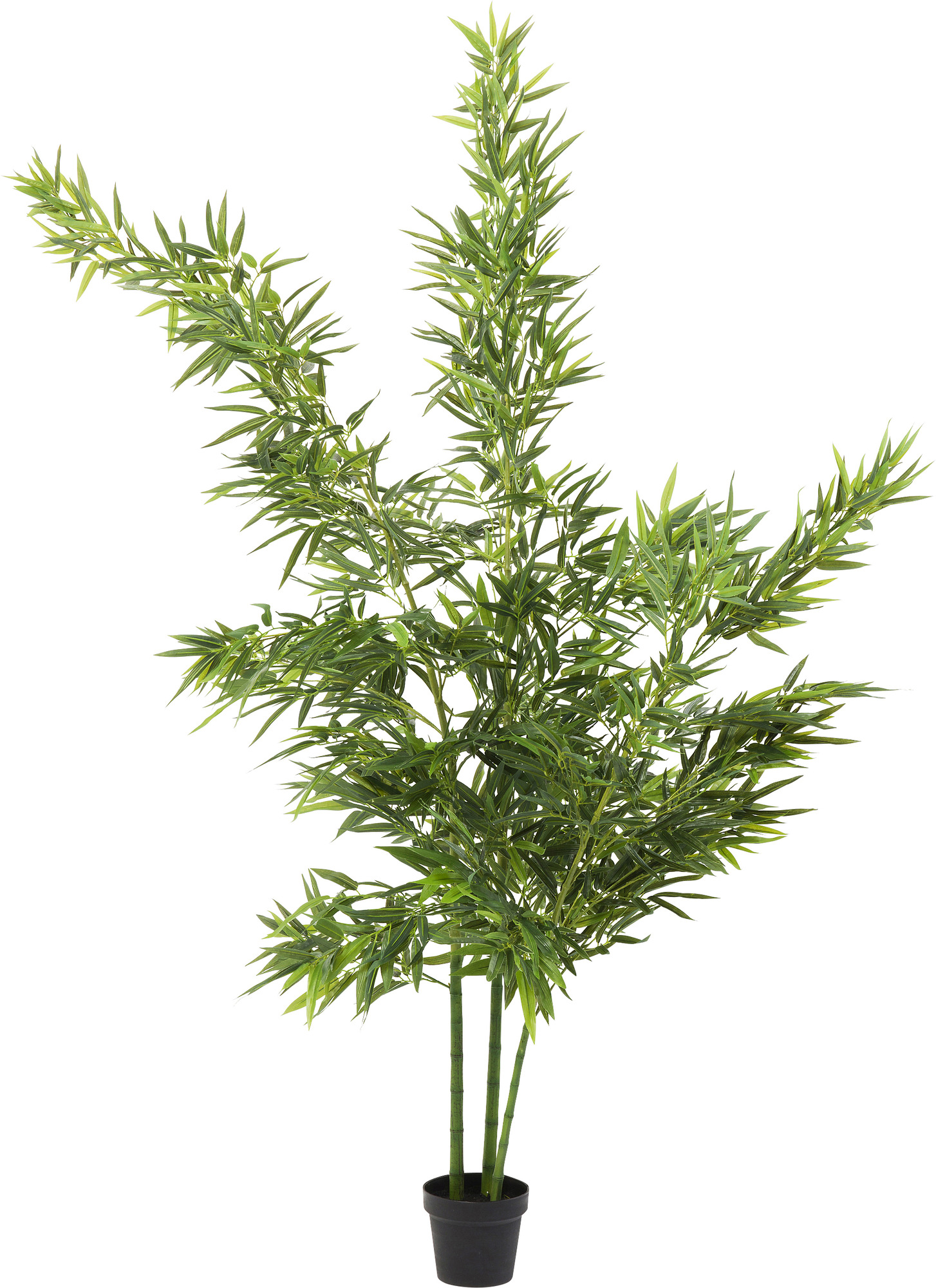 Deko Pflanze Bamboo Tree 200cm