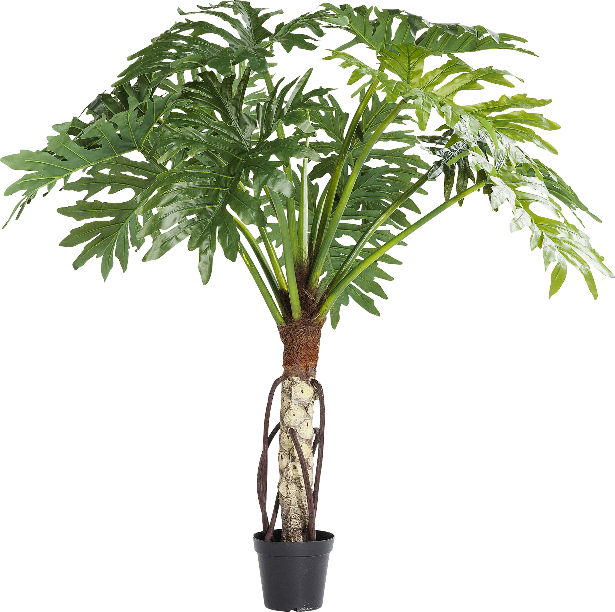 Deko Pflanze Big Monstera 175cm – Grafik-1.