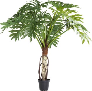 Deko Pflanze Big Monstera 175cm – Grafik-1.