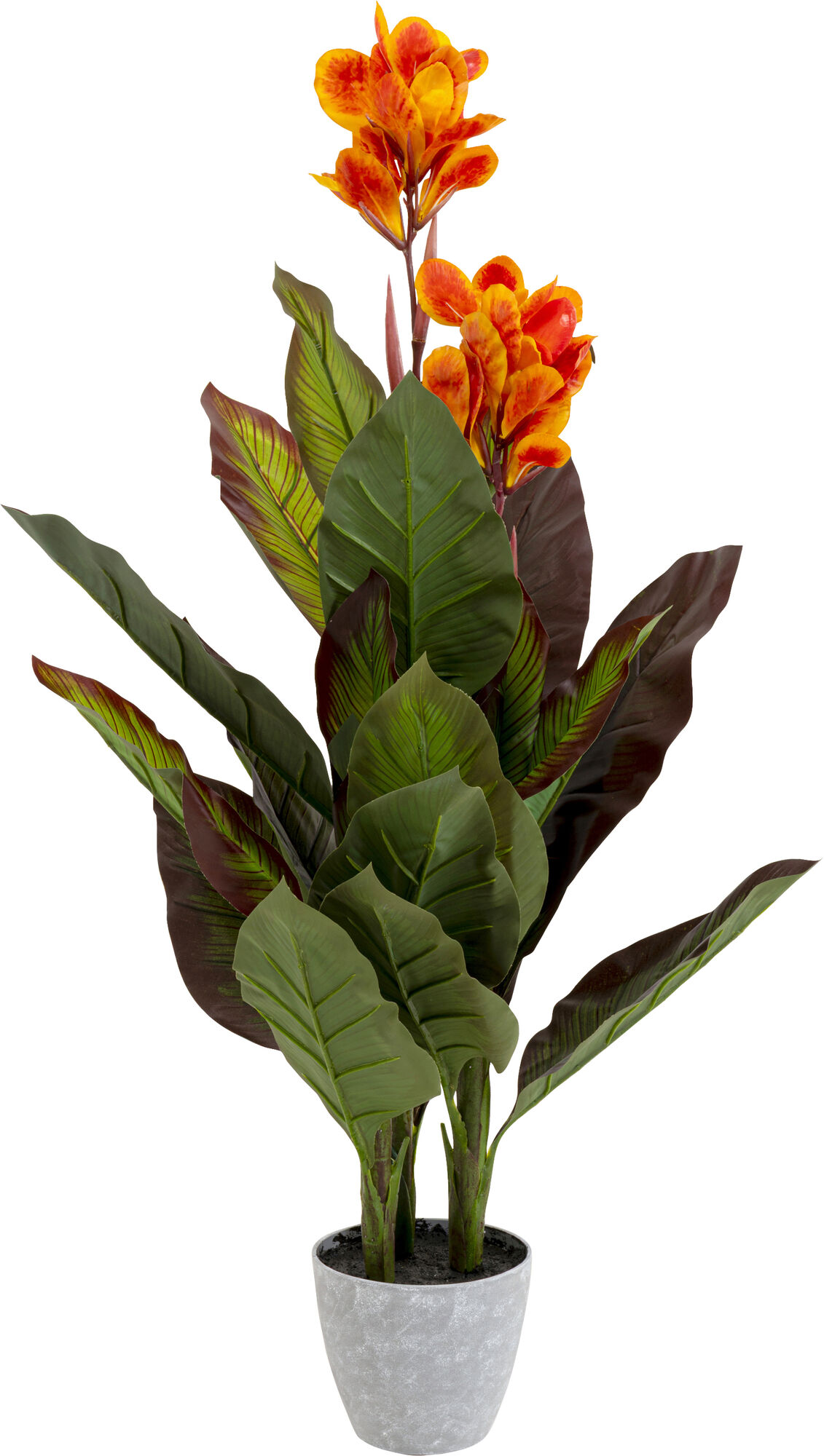 Deko Pflanze Canna Lily 115cm – Grafik-1.
