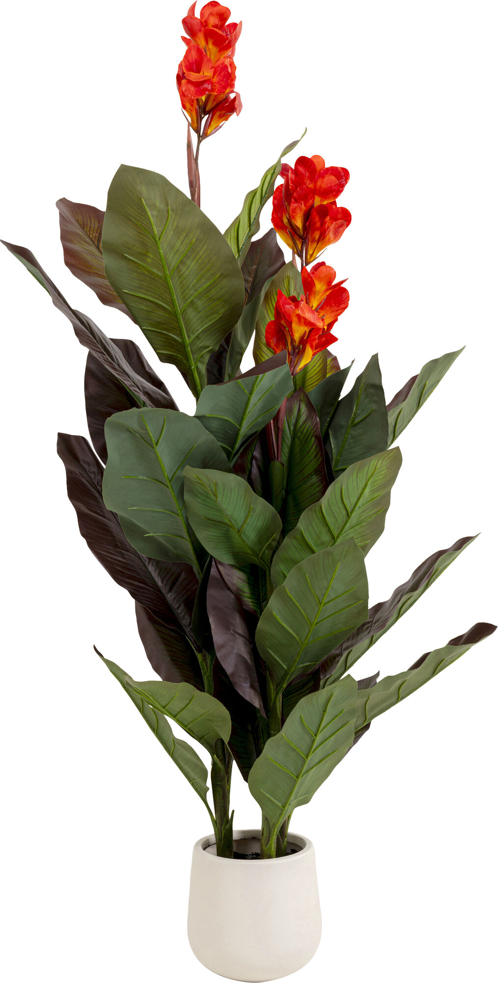 Deko Pflanze Canna Lily 165cm – Grafik-1.