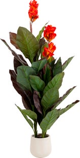 Deko Pflanze Canna Lily 165cm – Grafik-1.
