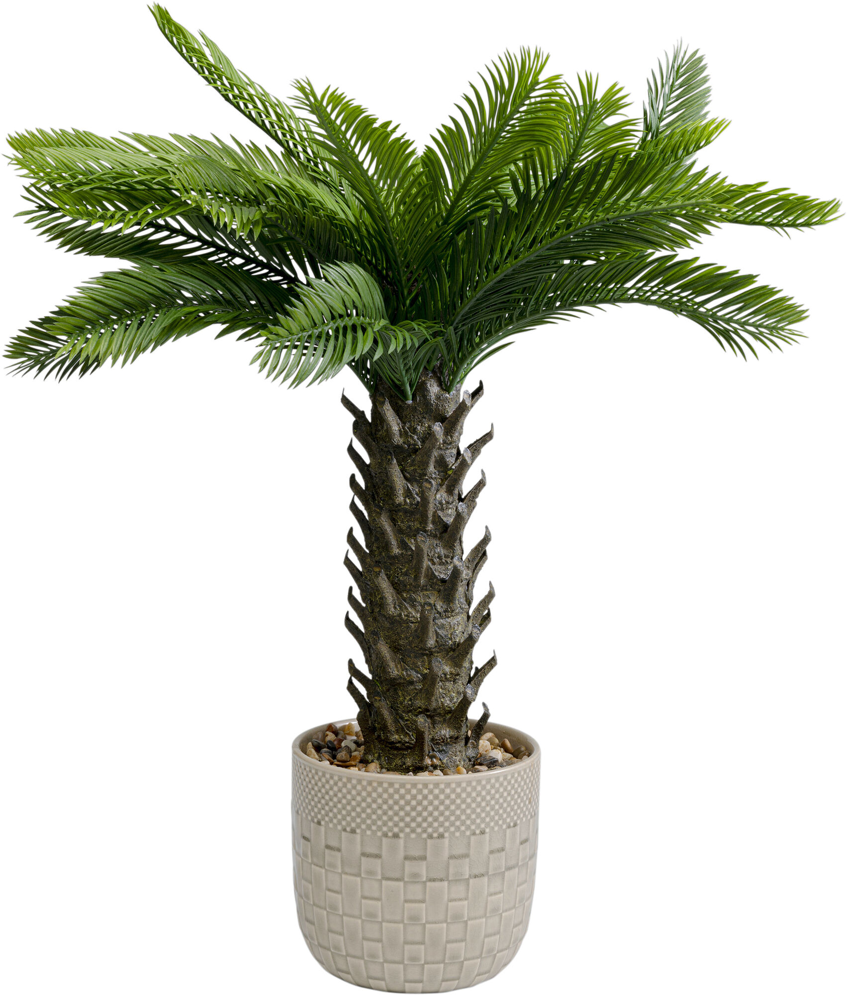 Deko Pflanze Cycas 70cm – Grafik-1.