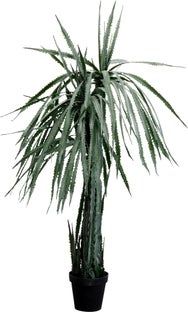 Deko Pflanze Dragon Tree 155cm – Grafik-1.