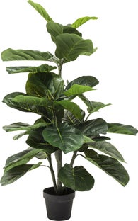 Deko Pflanze Fiddle Leaf 120cm – Grafik-1.