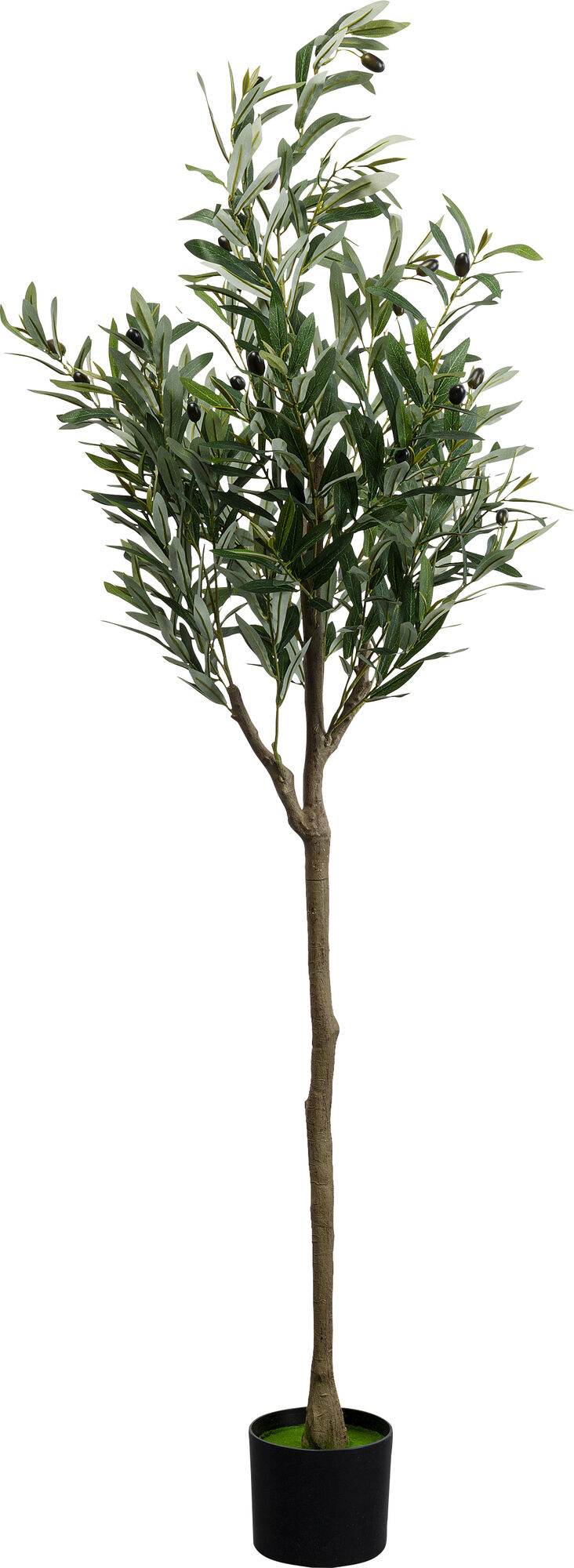 Deko Pflanze Olive Tree 150cm – Grafik-1.