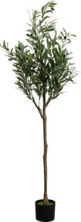 Deko Pflanze Olive Tree 150cm – Grafik-1.