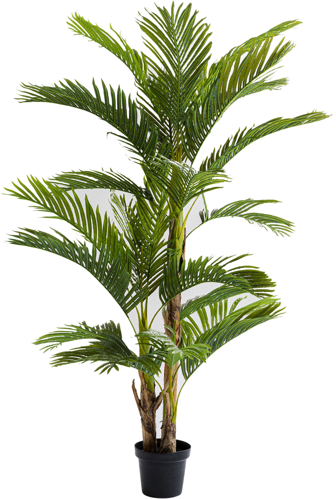 Deko Pflanze Palm Tree 190cm – Grafik-1.