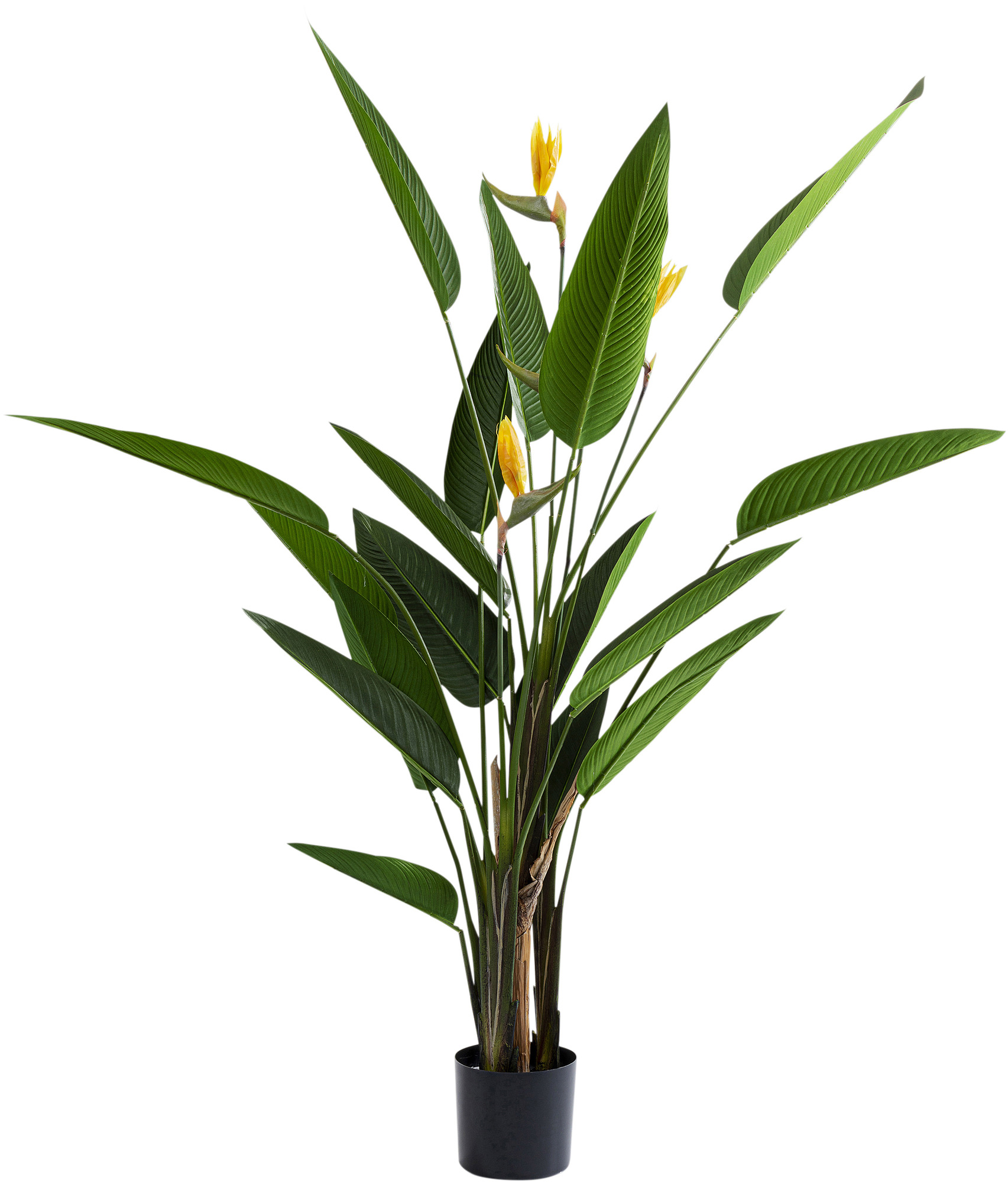 Deko Pflanze Paradise Flowers 190cm
