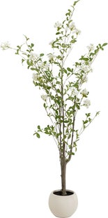 Deko Pflanze Plumbago Baum 152cm – Grafik-1.