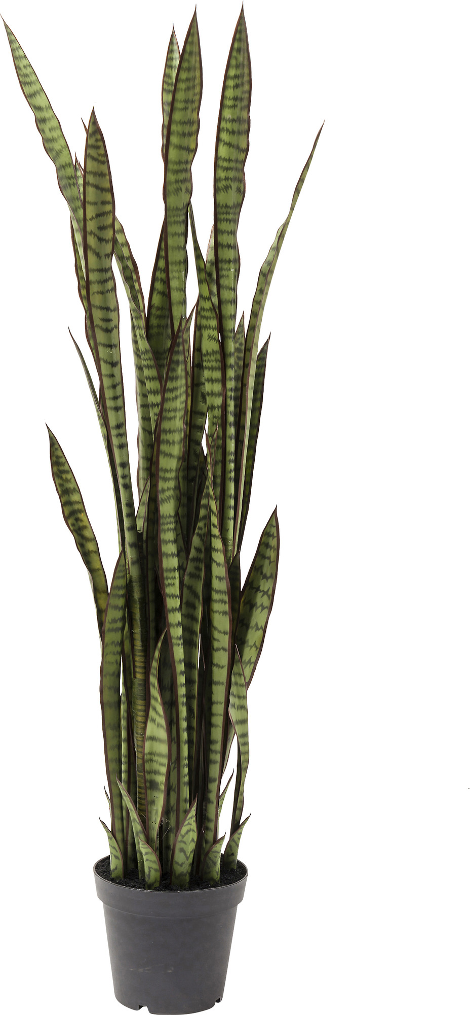 Deko Pflanze Sansewieria 155cm
