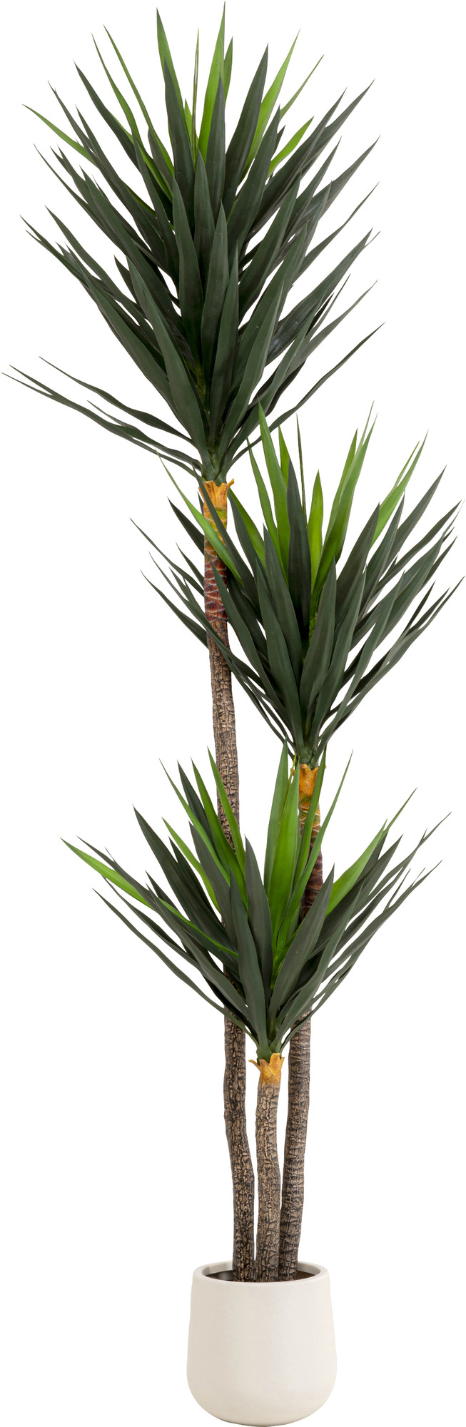 Deko Pflanze Yucca 250cm