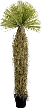 Produkt: Deko Pflanze Yucca Rostrata 180cm.