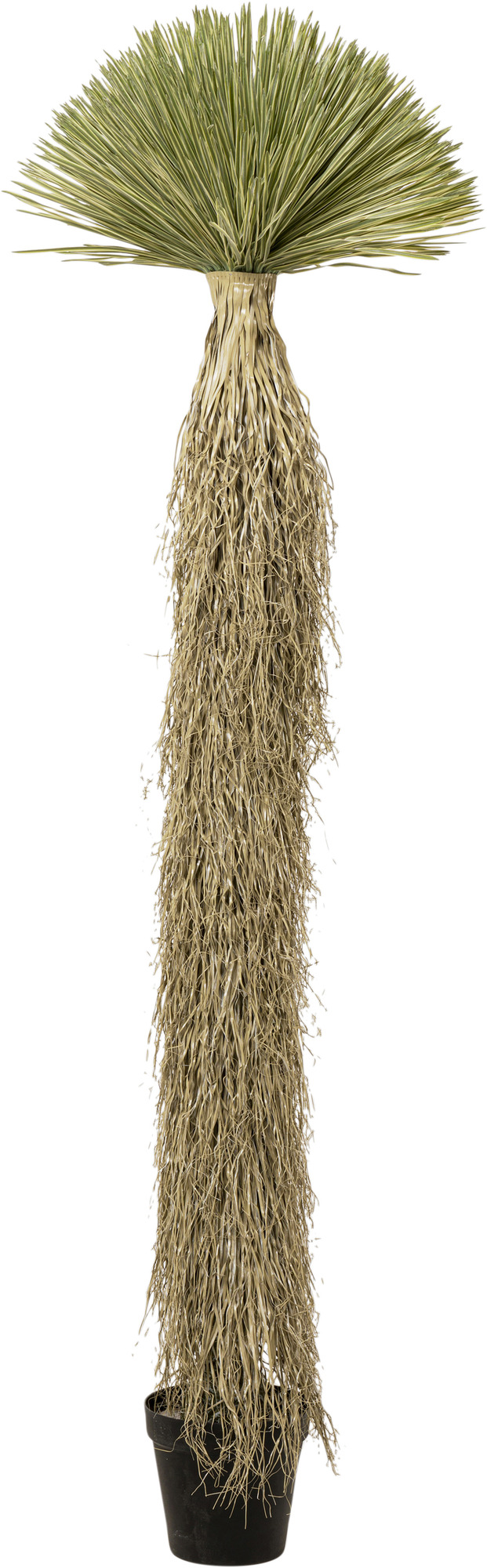 Deko Pflanze Yucca Rostrata 240cm