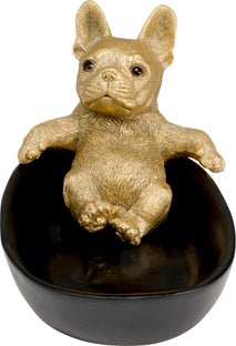 Deko Schale Bathing Bulldog 21cm – Grafik-1.