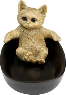 Deko Schale Bathing Cat 20cm – Grafik-1.