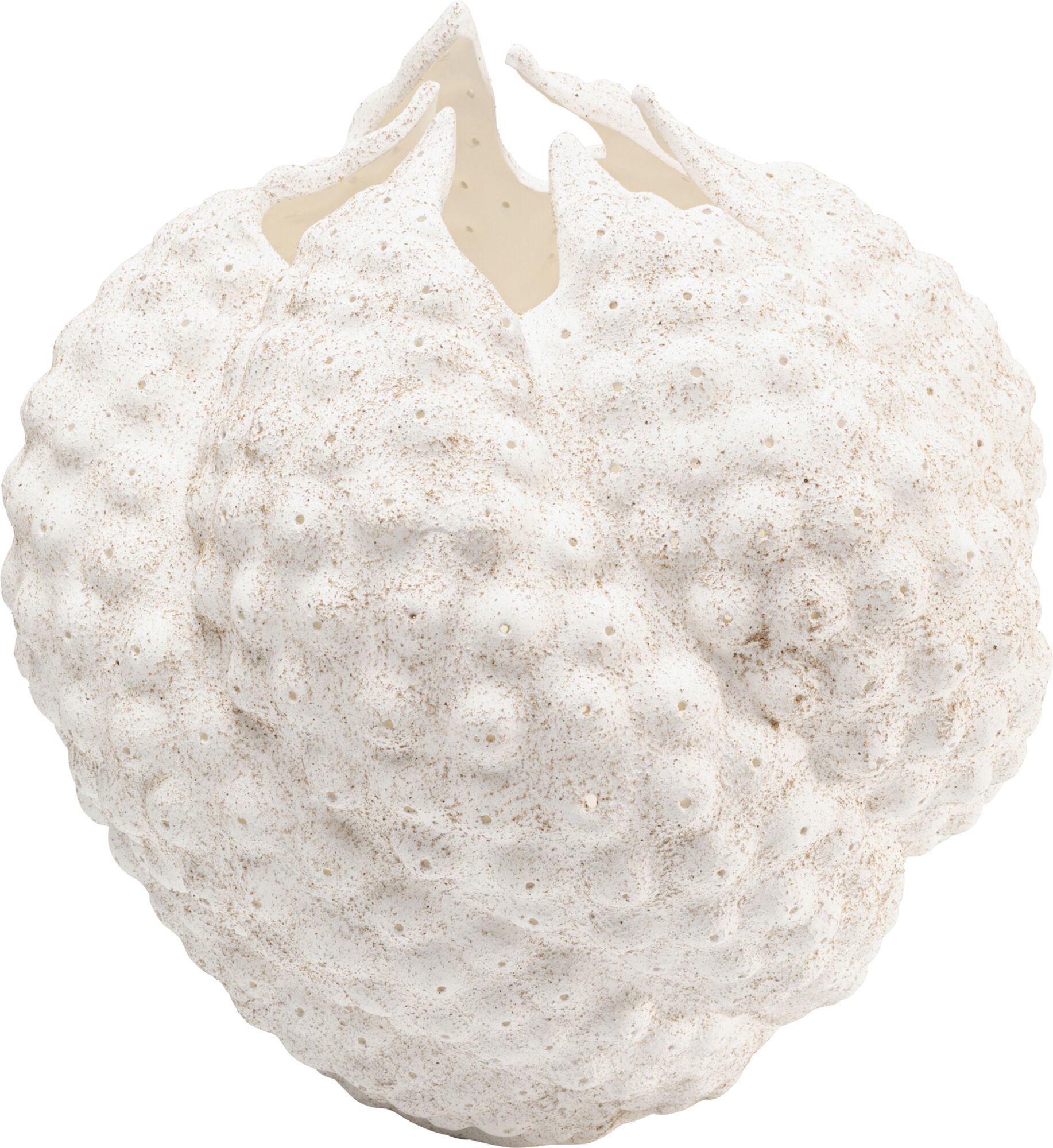 Deko Vase Anemone Weiß 37cm – Grafik-1.