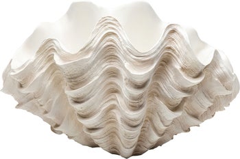 Deko Vase Concha 29cm – Grafik-1.