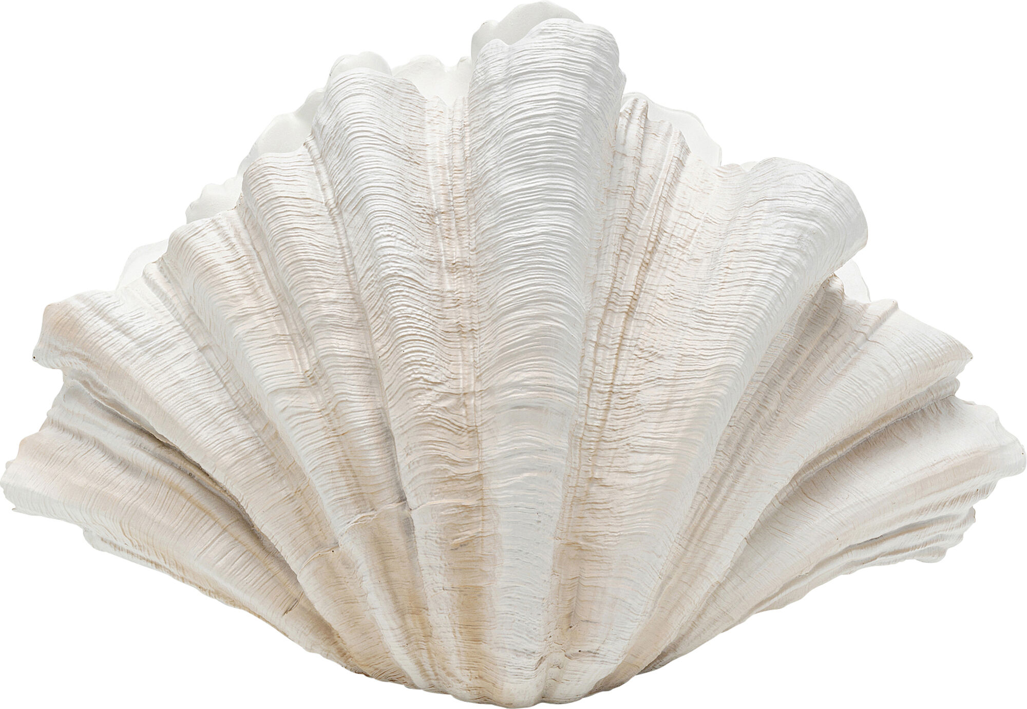 Deko Vase Concha 57cm – Grafik-1.