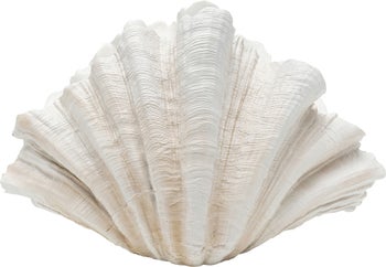 Deko Vase Concha 57cm – Grafik-1.