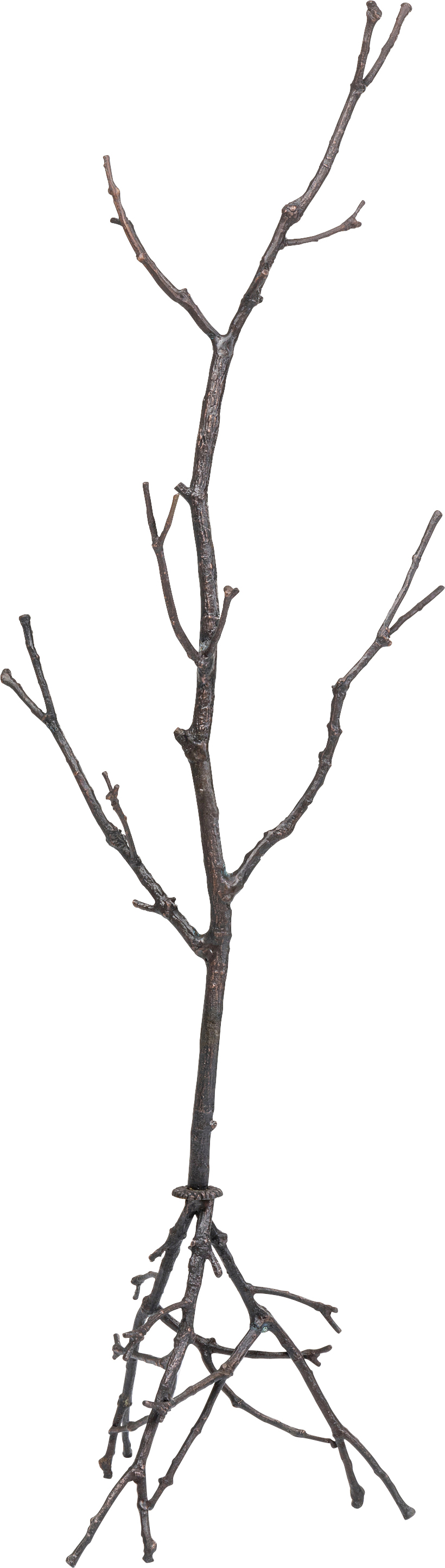 Garderobenständer Tree Branch 183cm - Einzelstück  – Grafik-1.