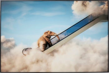Gerahmtes Bild Elephant In The Sky 150x100cm – Grafik-1.