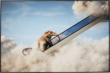 Gerahmtes Bild Elephant In The Sky 150x100cm – Grafik-1.